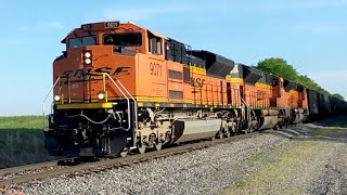 60 MPH BNSF Coal Train On The CN