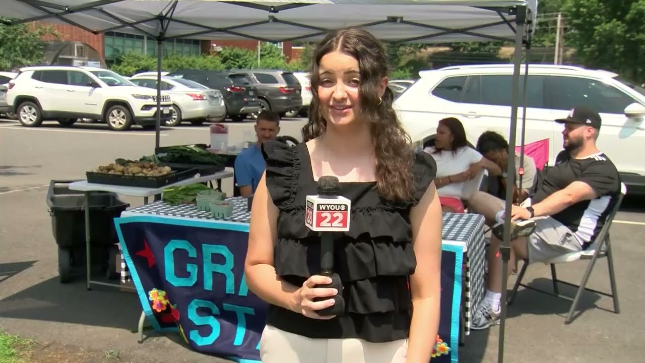 Lynese Swida: Demo Reel