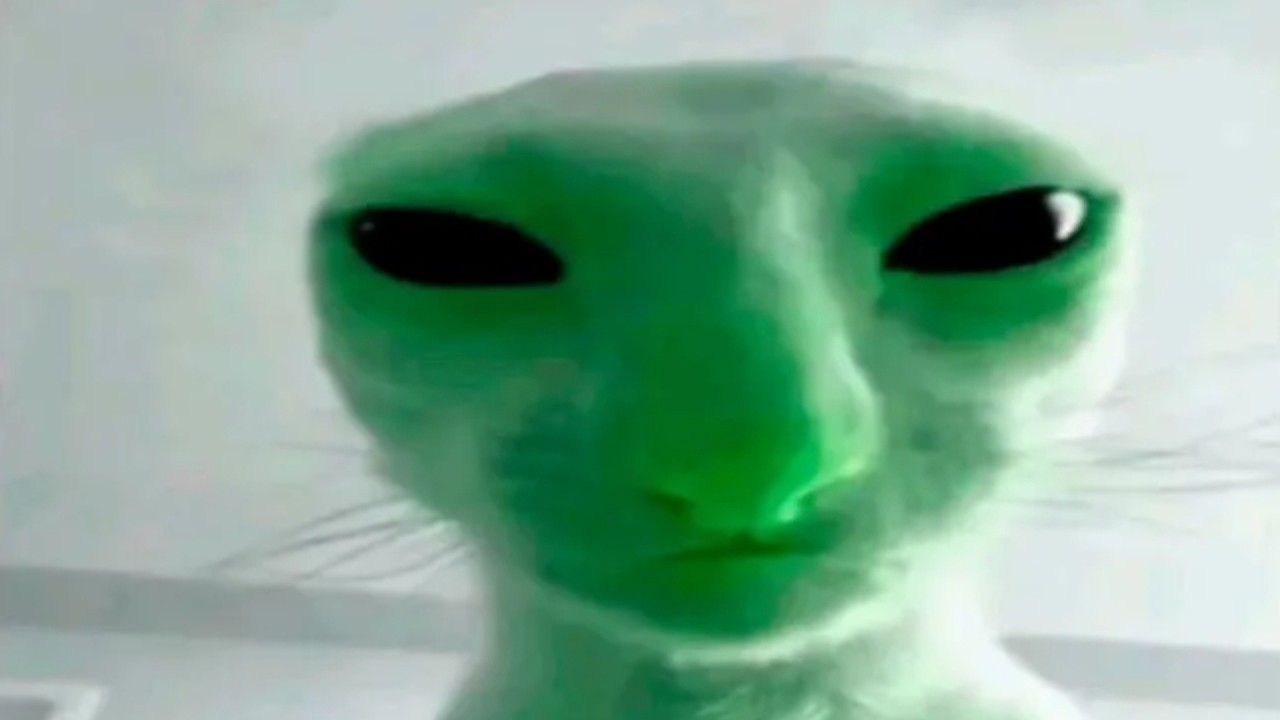 you laugh, you lose memes