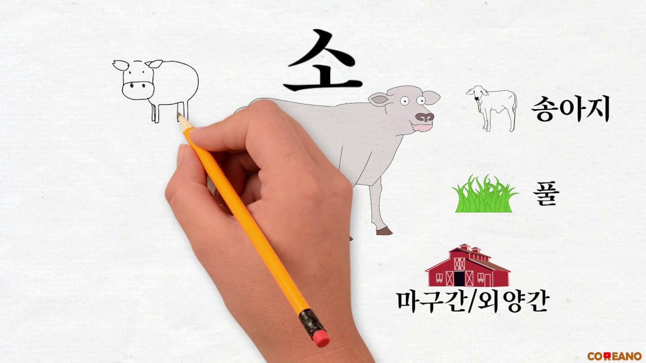 Farm Animals in Korean YouTube