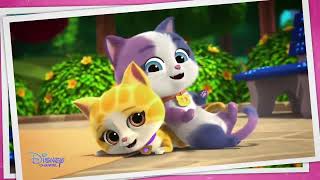 SuperKitties - Bubble Bathin' Burbles (Part Final) SuperKitties - Bubble Bathin' Burbles (Part Final)