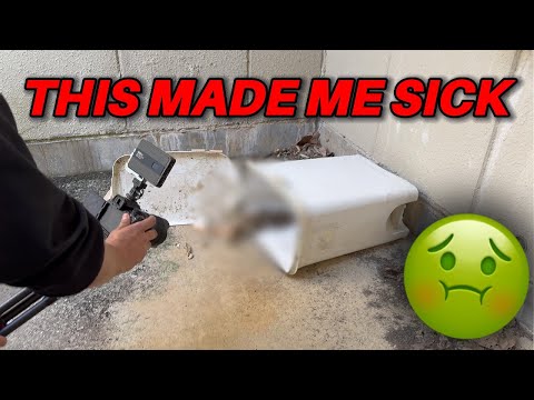 Smelled Something Nasty... Then Found THIS!