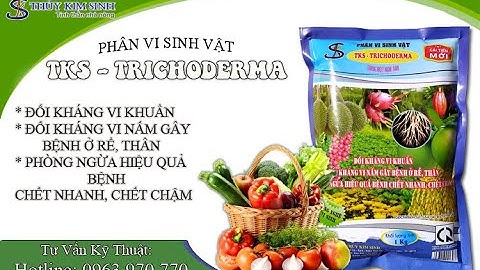 PHÂN VI SINH VẬT| ĐỐI KHÁNG NẤM GÂY BỆNH, Ủ PHÂN, CẢI TẠO ĐẤT| TKS –  TRICHODERMA| CTY THỦY KIM SINH