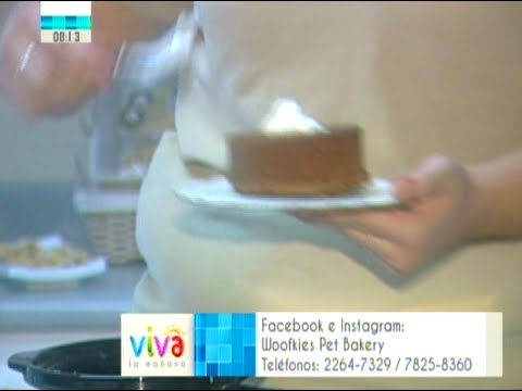 el salvador airport Viva La Mañana - Comida gourmet para perros