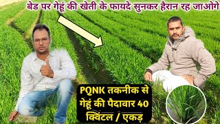 Israeli Technicks Of Wheat Farming  Pqnk Technology Se Gehu Ki Kheti   40    
