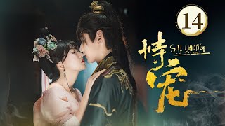 Ep14恃宠 The Spoiled Favorite 穿越变炮灰暴君捧我上位当女帝穿越妖妃傀儡帝王双穿帝妃搅翻后宫携手改命从此人生走向巅峰方瑾周昊杉主演