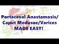 Portacaval anastamosiscaput medusaevarices made easy