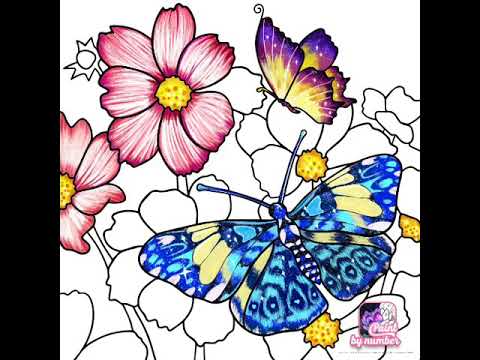 Paint by number free coloring and puzzle game. - YouTube
