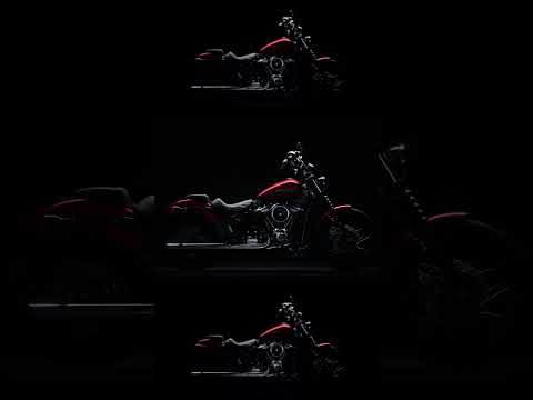 2026 Street Bob | Harley-Davidson #Shorts