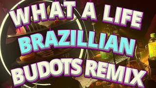 Download lagu WHAT A LIFE BRAZILLIAN BUDOTS REMIX DJ CC