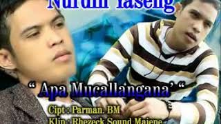 Nurdin Yaseng  Apa Mucallangana
