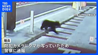 東北道矢板北SIC料金所にクマ　市の担当者「この時期に人が住んでいる場所の近くにクマ出没したことはなかった」 警察など注意呼びかけ｜TBS NEWS DIG
