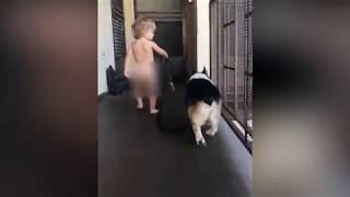 Naked Baby Walking A Dog