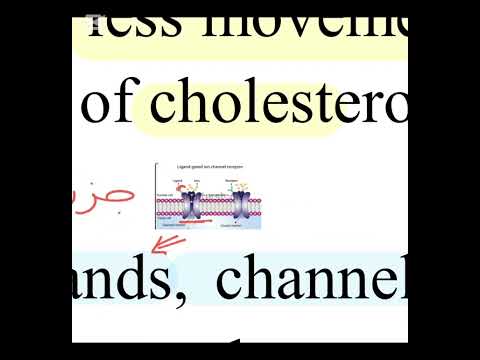 مرحلة اولى انسجة محاضرة1 ج3