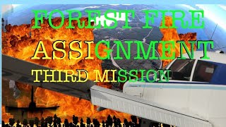 Forest FIRE Assignment | Mission #3