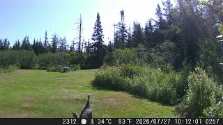 2026 — DSCF2257
