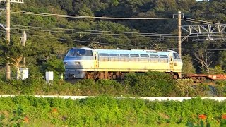 2015/09/23 JR貨物 5099レ EF66-112[吹]号機牽引 東海道本線
