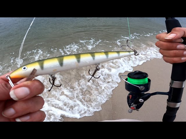 okuma ceyma Ceymar A-500 Size Effects:Textured Metal Foil (+$35) You probably won't have Goloni as well as a
