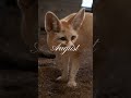 2025 Year in Review - L.A. Zoo!