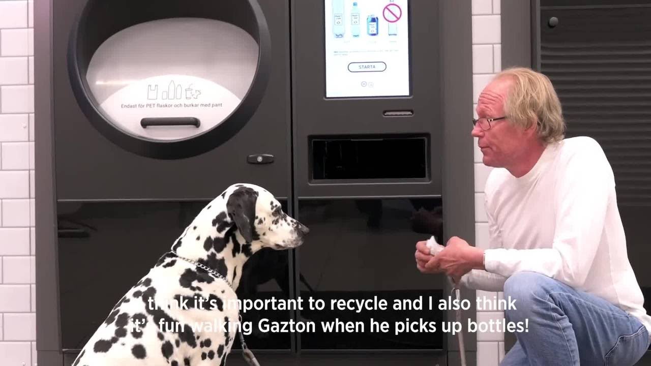 Gazton the recycling dog