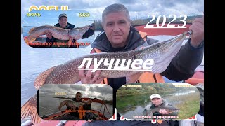 Рыболовный сезон 2023 -- ЛУЧШИЕ МОМЕНТЫ!