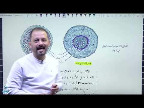 جيل 2007 الحصة التاسعة النقل في النبات الاستاذ حازم السطري 