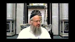 הרב שלמה לוינשטיין, פרשת כי תשא | תשע"ד / Rabbi Shlomo Levenstein, Parashat Ki Tisa | Tsha"d ✡