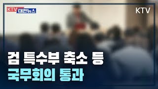 입학사정관 회피 범위 명시 검 특수부 축소 등 국무회의 통과