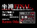◆美しい鳥 (高橋優) 弾き語りカバー by Kento Oda【@坐禅 zazen FINAL 2019】