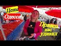 Рынок Привоз Одесса / Цены обалденные / Знаменитый рынок в Украине
