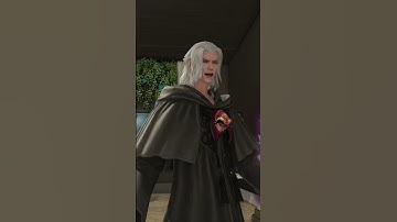 Emet-Selch and Azem things #ff14 #ffxiv #emetselch #azem #rickandmorty #ffxivmemes #memes #azemet