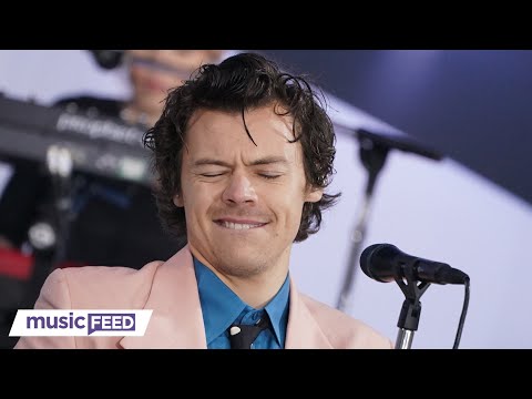 Harry Styles Fan SUES Venue Over Alleged Injuries!