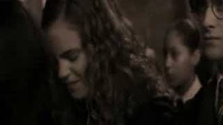 Even Angels Fall -  Hermione/Owen