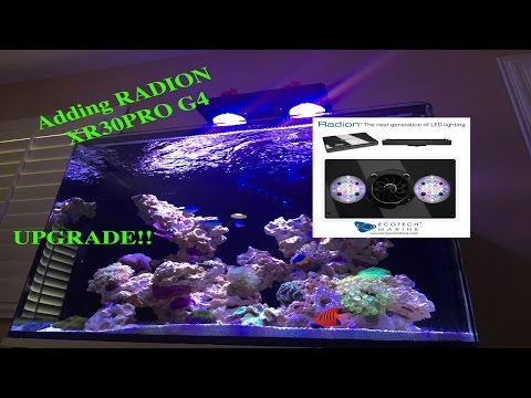 radion g4 more color