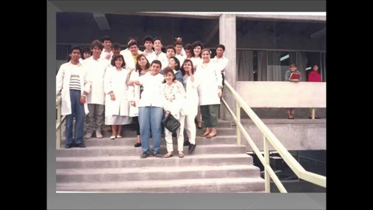 My wonder years in MedSchool.wmv anatomia muscular