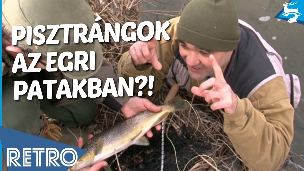 Pisztrángok Egerben? Légy ott - F&H retro