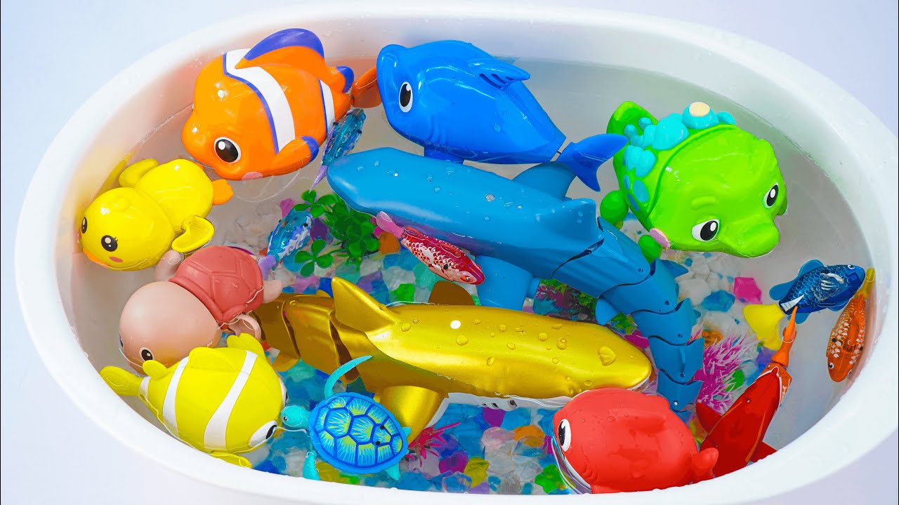 [Toy asmr] RC Shark & Nimo Fish & Zuru Fish & Baby Shark Aquarium ASMR Satisfying with Unboxing