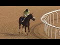Race 6 Reach by Gulf News
