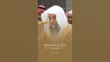سورة الماعون الشيخ فيصل غزاوي #اكسبلور #المصحف #القران #حالات_واتس #خطبه #لايك #راحة_نفسية #دويتو