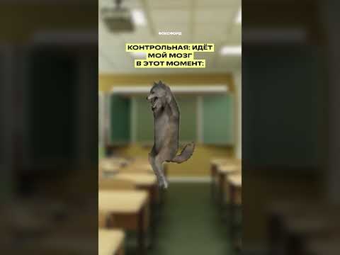 Мозг во время контрольных #фоксфорд #memes #shorts