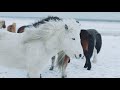 Middle of video