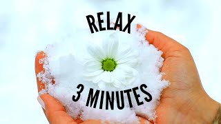 Piano and Violin - Short | Original Christmas Music
Relaxing piano, violin and choir music by Healing Melodies (Matt Weiss)
Song name: Winters Heart (Sookie)
Spotify: https://distrokid.com/hyperfollow/healingmelodies/winters-heart-sookie
Apple Music: https://music.apple.com/us/artist/healing-melodies/1480117897
Amazon Unlimited: https://www.amazon.com/gp/product/B08QDR75QN
Bandcamp: https://healingmelodies.bandcamp.com
I would like to dedicate this song to my wife Sookie. She is my heart and my love. I am so thankful for her kindness, passion for life, and humor. We got married in December and this music makes my heart feel so warm, so I decided to name this Winters Heart (Sookie). If you enjoy it, please give it a like, subscribe, and consider adding it to your favorite relaxing music playlist.
Thank you for watching and listening!
- Matt
Want to use my music in your own YouTube videos? See my website for details: https://healingmelodies.net
#relax
#goodvibes
#healingmelodies Piano and Violin - Short | Original Christmas Music