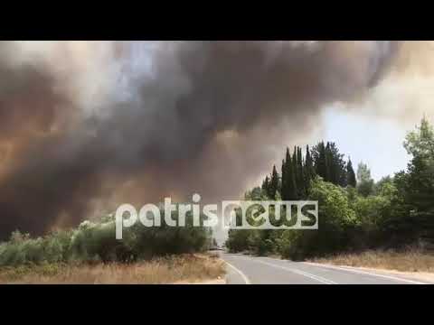 Φωτιά στη Γορτυνία:  Πυρκαγιά Καπελλίτσα 5