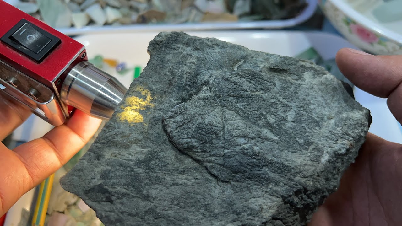 411 မှော်စီဆာ