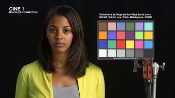 Canon EOS C300 = Awesome.wmv