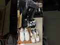Daily delivery #Supkicks #Supkicksreview #Supkicksshoes #Supkicksbags