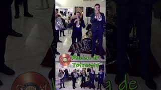 balkan music #show #manele #balkan #orch #livemusic #muzicadepetrecere #shorts #band