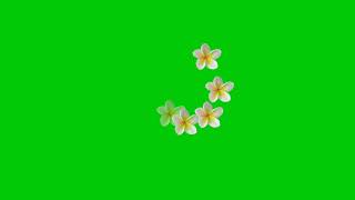 Green screen flower effect