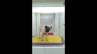 video 2012 02 24 17 33 12