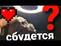 СБУДЕТСЯ ЛИ ЛЮБОВНОЕ ЖЕЛАНИЕ? 3 КАРТЫ, ВЫБЕРИ СВОЮ!☆☆☆